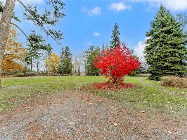 2.34 Acre Lot Islington Albion Toronto Skyline Views Development Opportunity