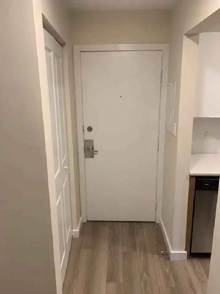 Renovated 1 Bedroom Unit