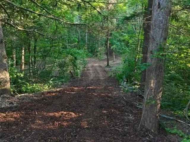 4.5 Acre Wooded Lot in King City - Build Your Dream Home