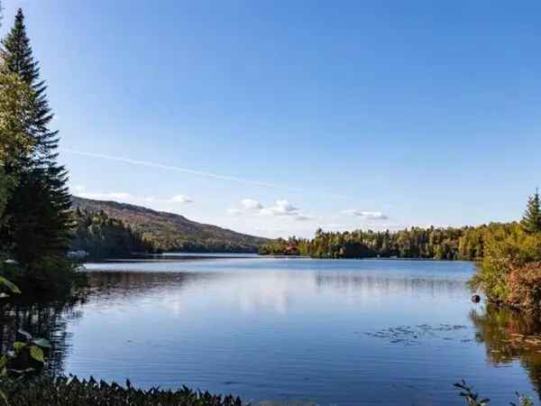Rental Chalets for Sale Lanaudiere Dock CITQ Permit Turnkey