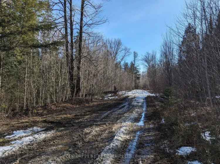 33 Acres Highway 118 Land for Sale