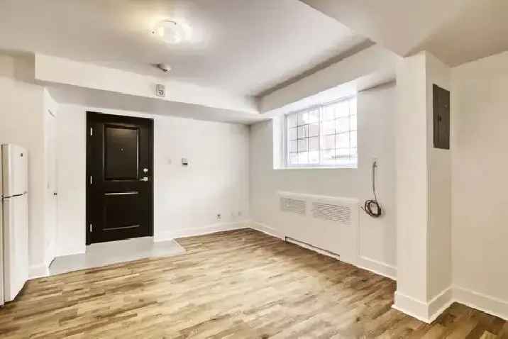 semi-basement, 1-bedroom apartment for rent, Snowdon - ID 2488