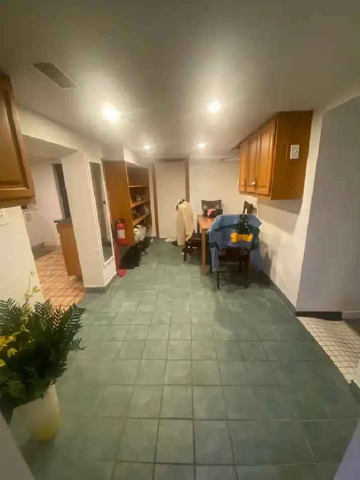 1 basement bedroom for rent available Dec 2024