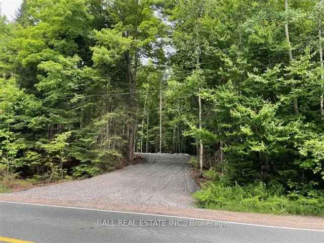 Private 1-Acre Lot near Haliburton - Build Your Dream Home