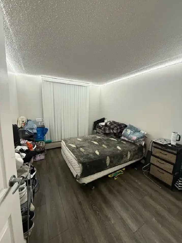 Room for Rent in Core Downtown, 2 can share