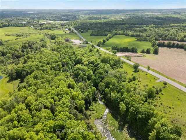 52 Acre Property with Apple Orchard Near Highway 7