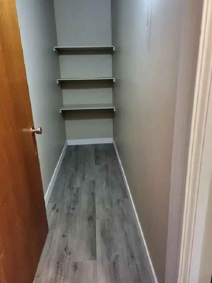 Spacious Bachelor Suite for Rent May 15th