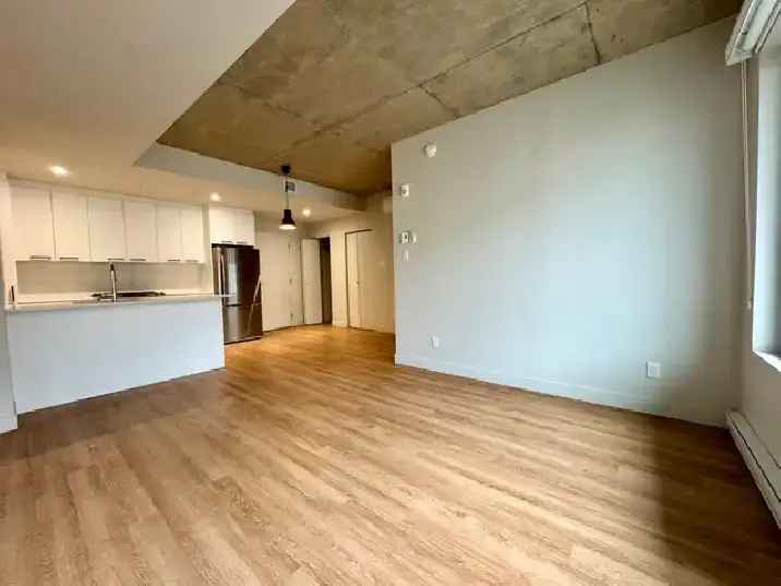 Villeray - Superbe Condo 4 1/2 Neuf -