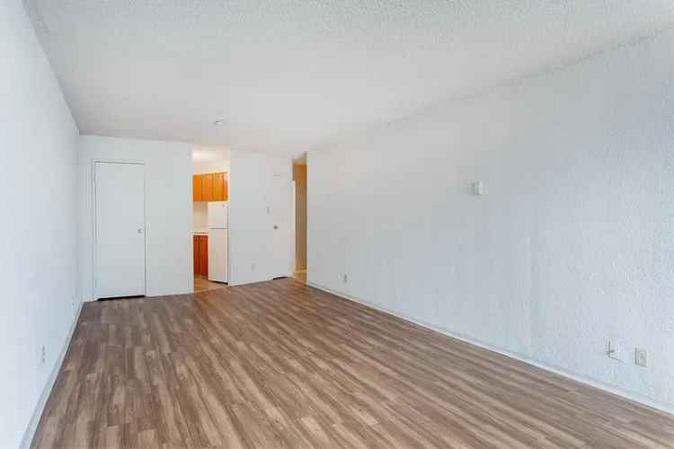 Spacious Suites for Rent in Montreal