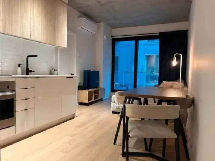 Condo 3 ½ à louer, Neuf, Quartier Général, Griffintown Montréal