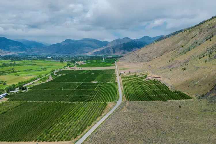 Established and Profitable Apple Orchard - Cawston, BC