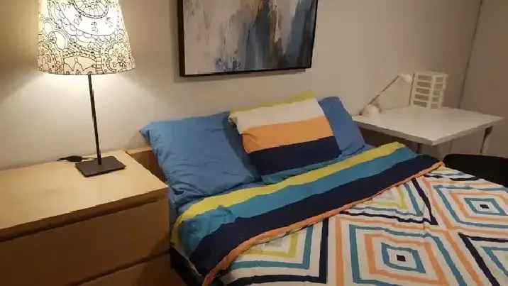 Rent Room in Condo for Single Male near Don Mills Rd and Finch