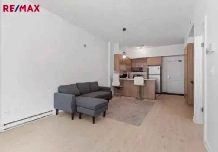 3 12 Condo Rent Downtown Near Metro Berry UQAM Chinatown