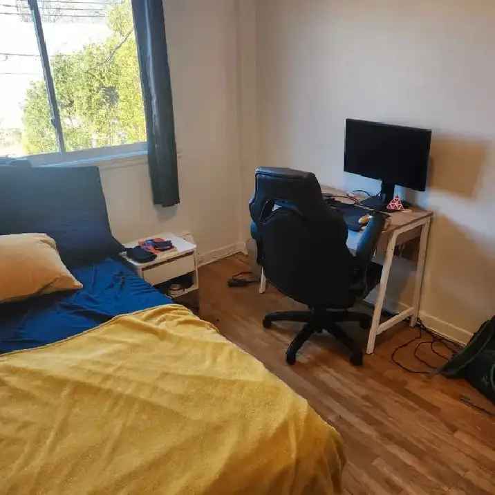 room for rent/ chambre à louer 550$