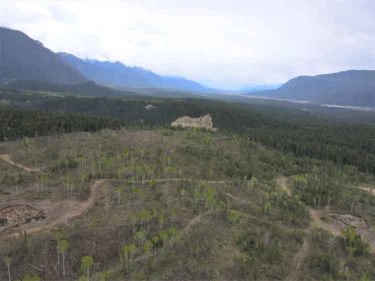 Large Rocky Mountain Acreage with Views - Edgewater, BC