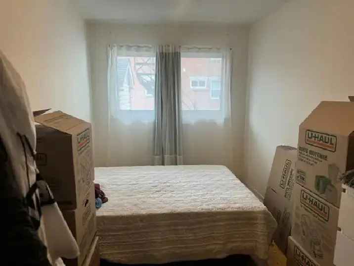 4 1 2 Apartment for Rent Near Parc Maisonneuve Rosemont
