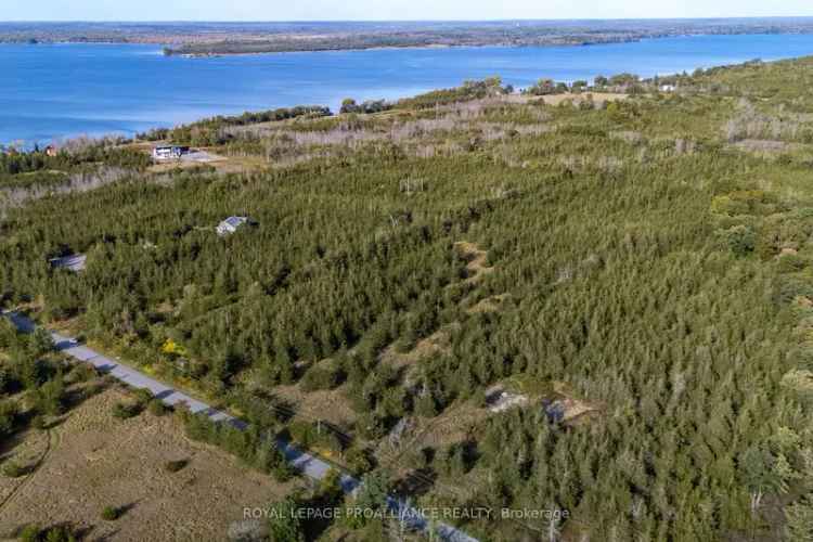Big Island Property: 16+ Acres, Peaceful Setting, Waterfront Opportunity