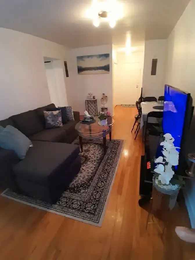Spacious 4 1/2 Heated Apartment Near Park and College
