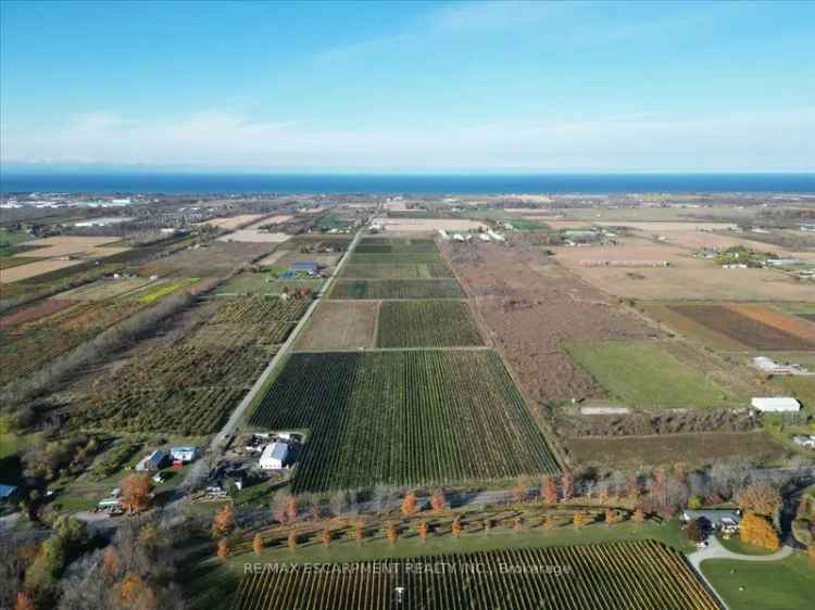 Vineyard Buy in Lincoln with Guesthouse and Barn Features