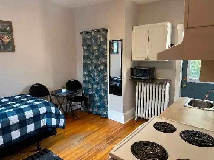 Furnished Bachelor Apartment near Holland College