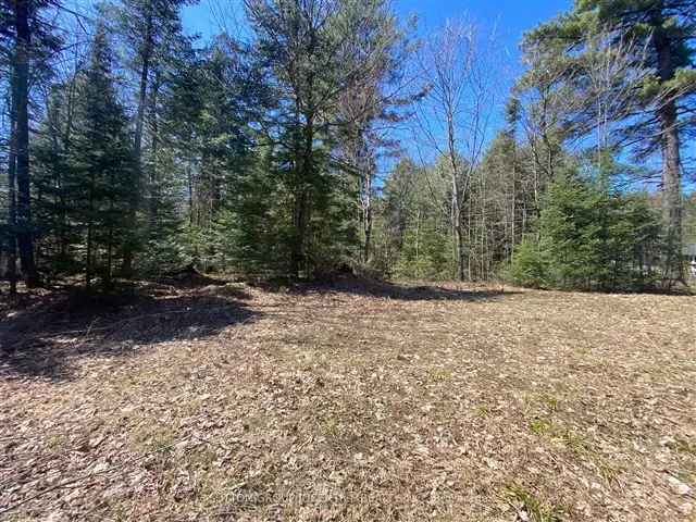 Land For Sale in Huntsville, Ontario