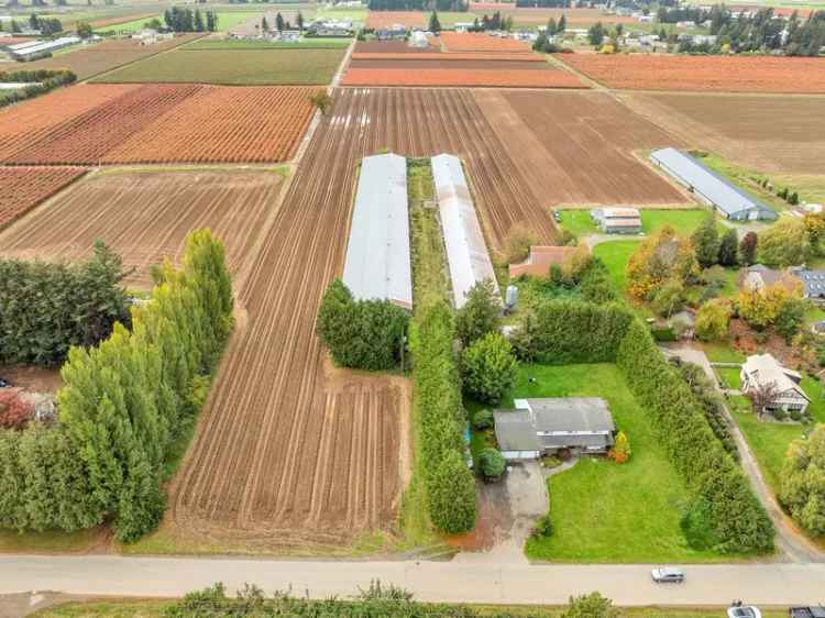 Buy House with Acreage in Poplar Abbotsford with 5 Bedrooms and Blueberries