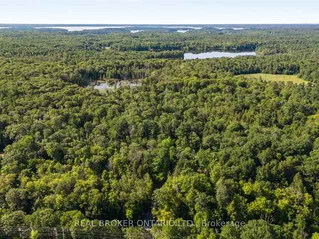 5-Acre Private Lot - Build Your Dream Home Near Parry Sound