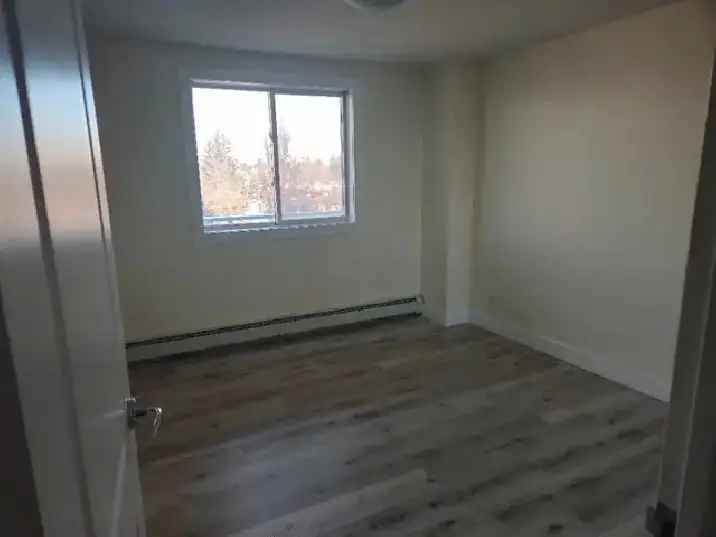 1 Bedroom, 1 Bathroom Unit Available Close to Downtown