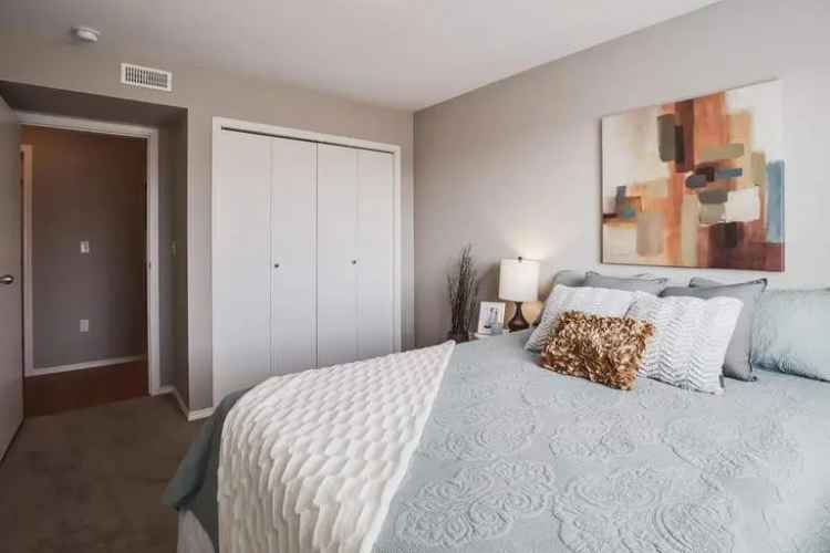 Rent Apartments in Edmonton with Modern Features and Pet Friendly Options