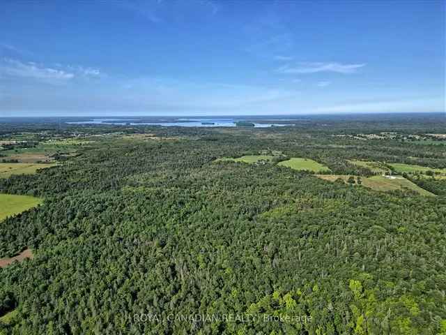 99.46 Acres Land for Sale near Coboconk