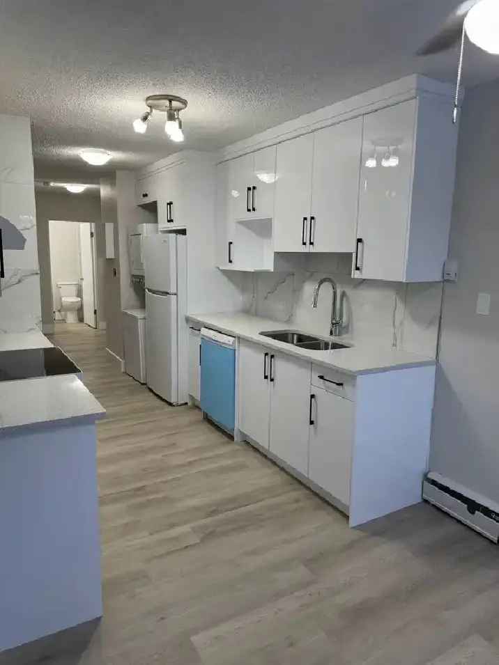 Newly renovated 2 bedroom condo