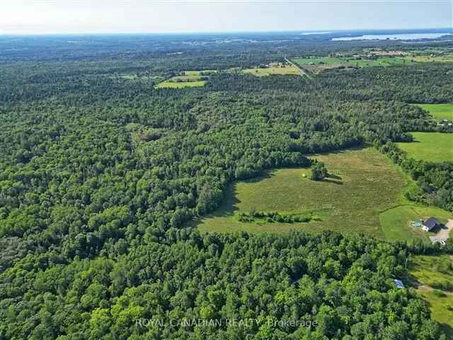 99.46 Acres Land For Sale Build Your Dream Home