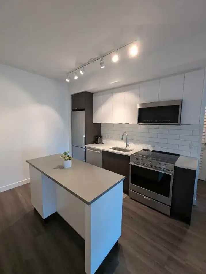 Lease Takeover Downtown Apartment 1 Bedroom 1 Bath with Amenities