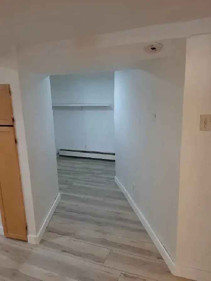 One Bachelor in Basement for Rent (Vanier)