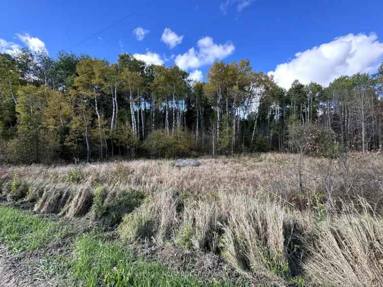 3.5 Acre Rural Lot Near Algonquin Park