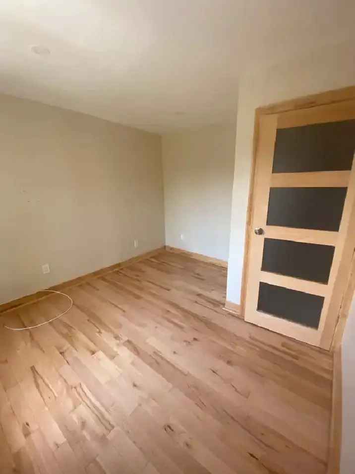 Renovated 3 1 2 Apartment with Balcony Hardwood Floors and Wifi