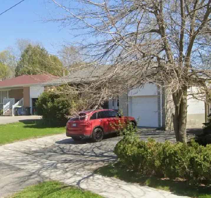 A private basement room for a young individual near Finch