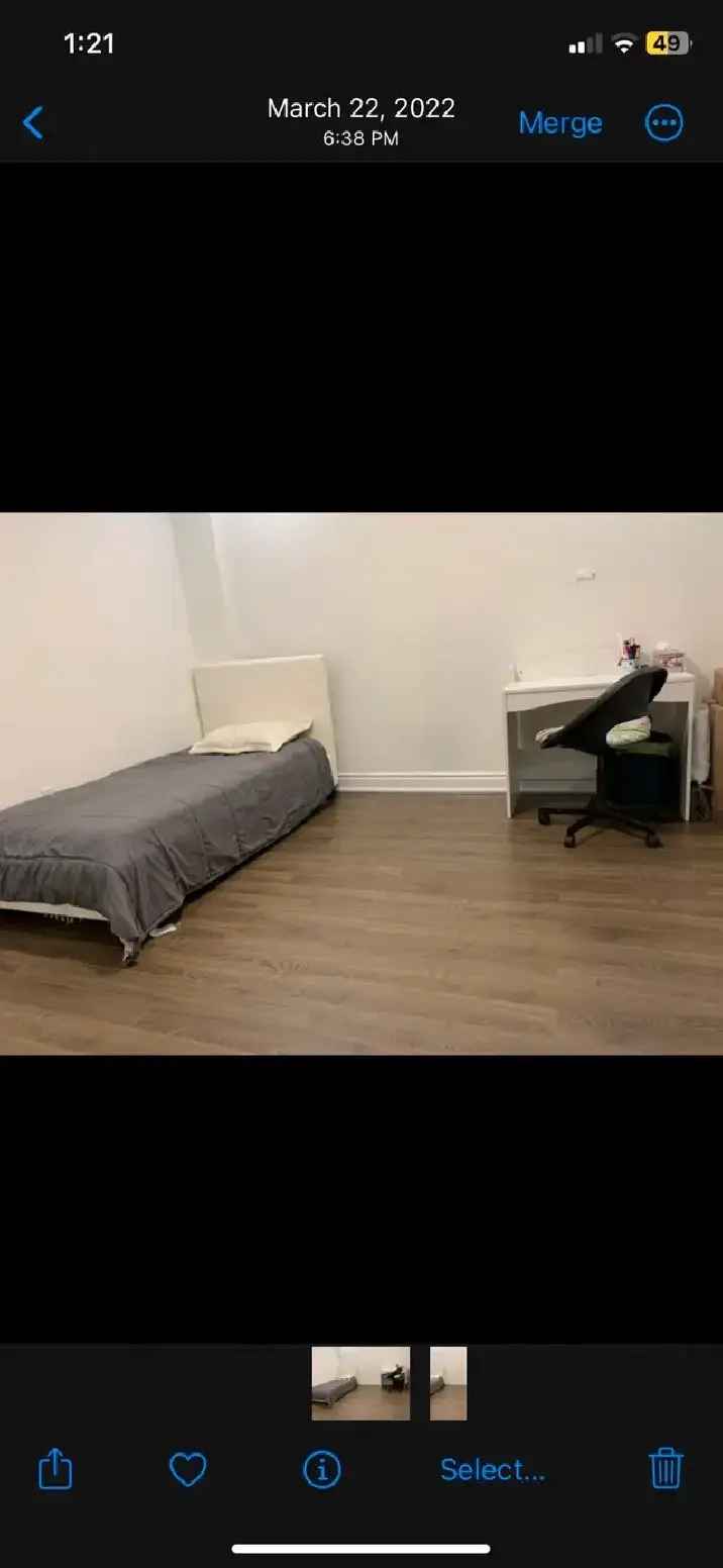 Room For Rent Close to Uoft/ centennial