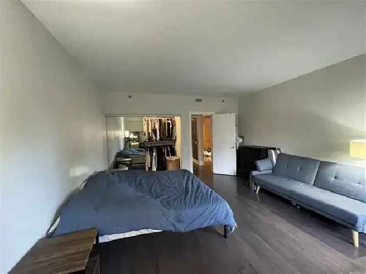 Furnished Large Apartment in Little Italy for Rent