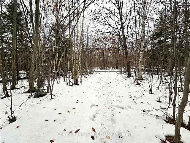 Lakefront Lot in Sunny Sundridge - Build Your Dream Home