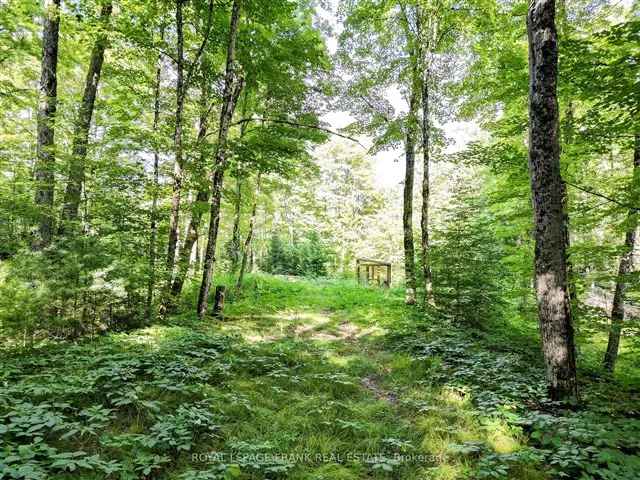 North Kawartha 366 Acre Private Lot Build Your Dream Home