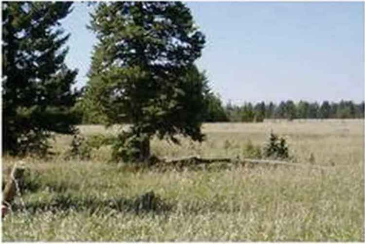 Land For Rent in null, Alberta