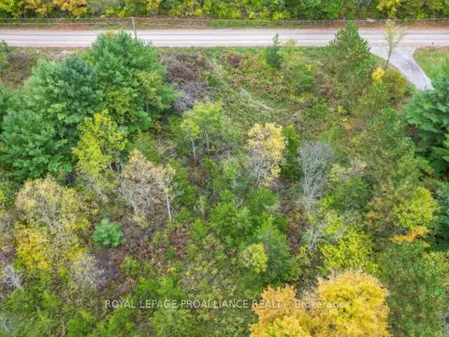 1+ Acre Lot for Sale - Build Your Dream Home