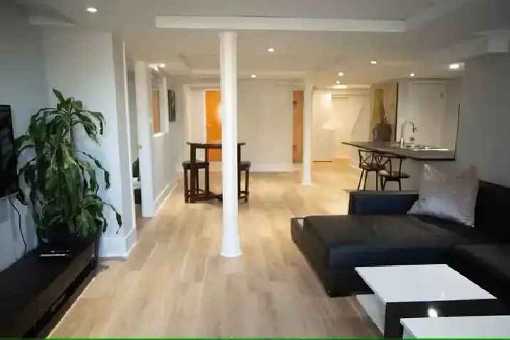 1000sqft Furnished 1 Bedroom Apartment for Rent in Cyrville