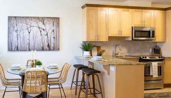 Rent luxurious 1 room apartment in Ottawa with modern amenities