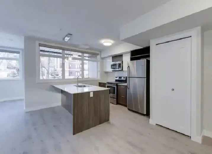 Amazing Downtown 2 Bed 2 Bath Condo. 2016 Built. Good Value