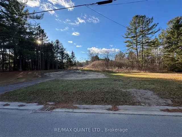 Land For Sale in Tweed, Ontario