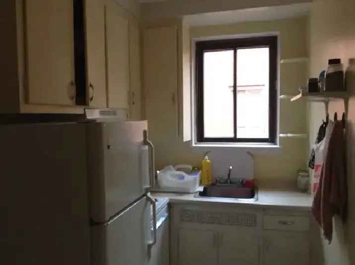 Rent Studio Apartment Mont Royal Plateau Near McGill University