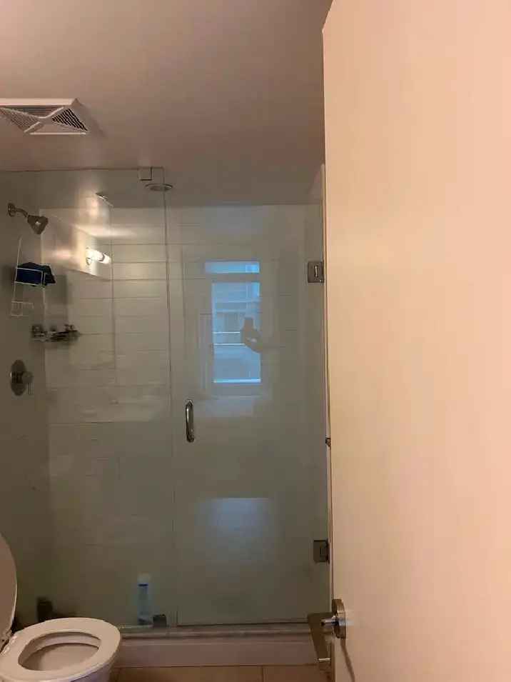 Modern 1 Bedroom Den 2 Bathroom Downtown Toronto Apartment