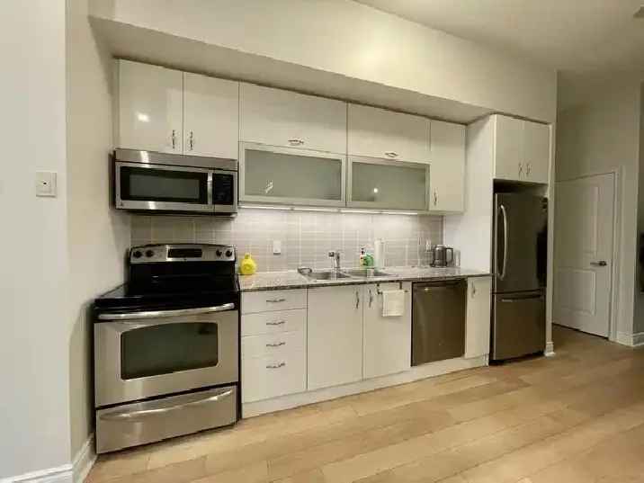 Luxury Monarch Condo Rental Downtown Toronto May 1 - August 31